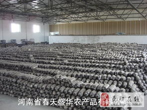 食用菌產(chǎn)業(yè)的全面服務(wù) 菌棒、菌袋、菌種及進(jìn)出口解決方案